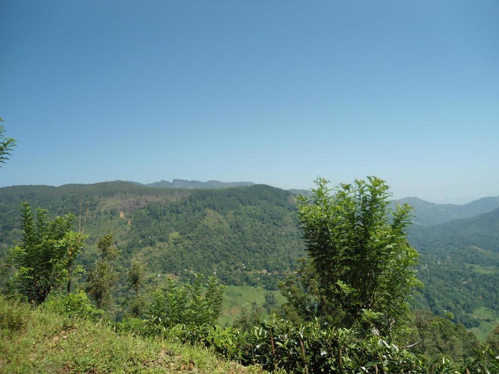 Mount River View Kandy Kültér fotó