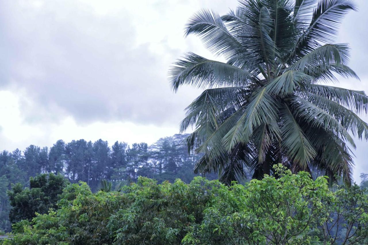 Mount River View Kandy Kültér fotó