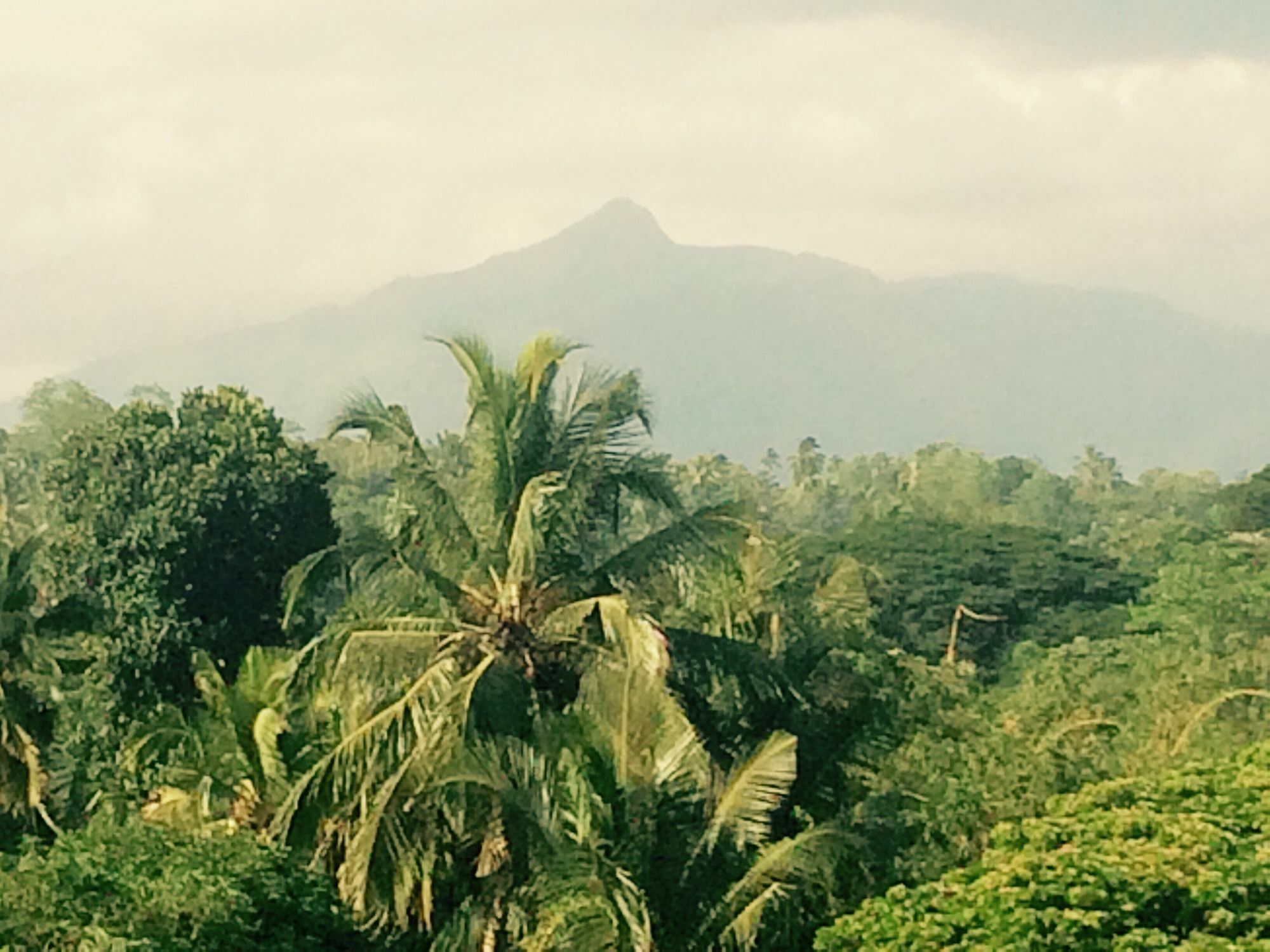 Mount River View Kandy Kültér fotó